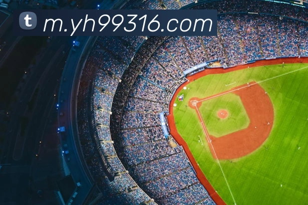 奖项证书